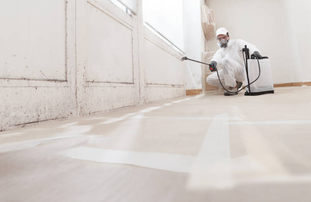 24/7 Emergency Mold Remediation experts in Manchester, KY