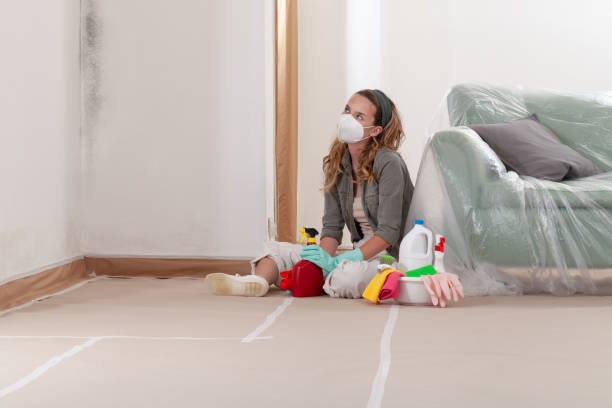 Reliable Mold Remediation contractor in Manchester, KY by 24 Hour Mold Removal